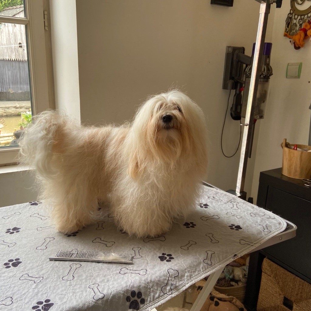 Uguette Du Moulin De Gontard